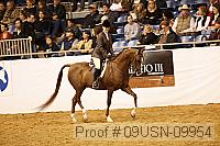 09usn-09954 proof
