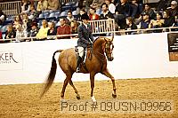 09usn-09956 proof