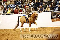 09usn-09963 proof