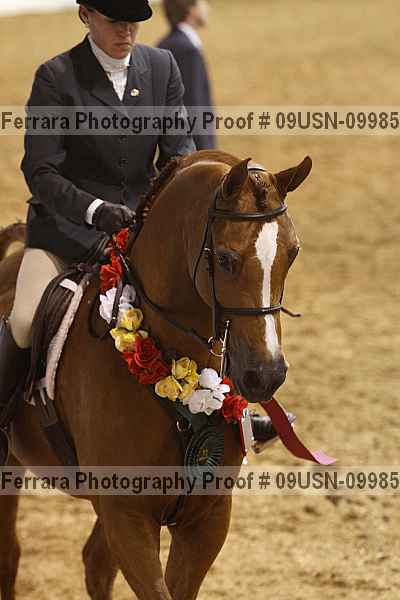Proof 09usn-09985