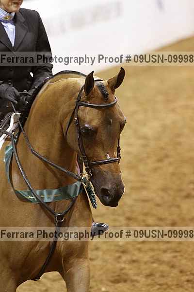 Proof 09usn-09998