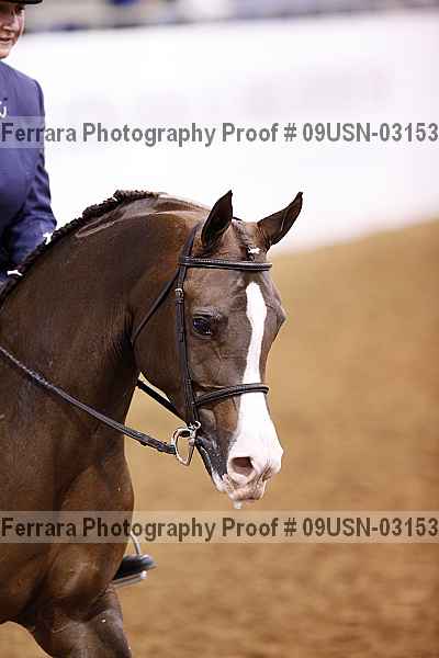 Proof 09usn-03153