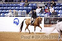 09usn-03165 proof
