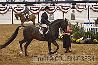 09usn-03384 proof