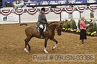 09usn-03386 proof