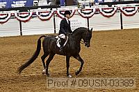 09usn-03389 proof