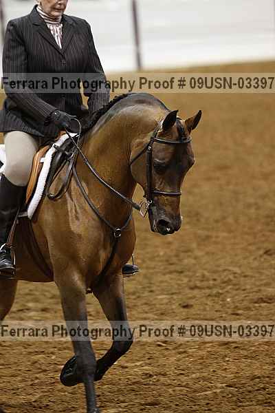 Proof 09usn-03397