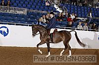 09usn-03660 proof