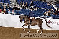 09usn-03663 proof