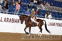 09usn-03666 proof
