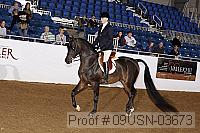 09usn-03673 proof
