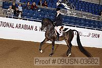 09usn-03682 proof