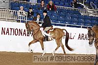 09usn-03686 proof