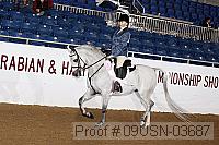 09usn-03687 proof