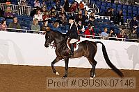 09usn-07146 proof
