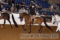 09usn-07157 proof
