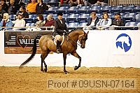 09usn-07164 proof