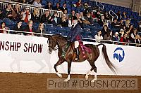 09usn-07203 proof