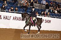 09usn-07212 proof