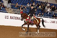 09usn-07218 proof
