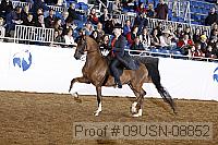 09usn-08852 proof