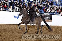 09usn-08856 proof