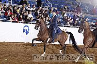 09usn-08863 proof