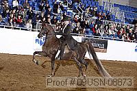 09usn-08873 proof