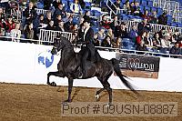 09usn-08887 proof