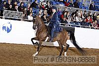 09usn-08888 proof