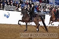 09usn-08893 proof