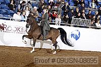 09usn-08895 proof
