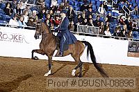 09usn-08898 proof
