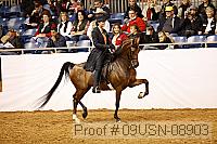09usn-08903 proof