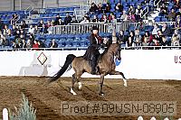 09usn-08905 proof