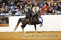 09usn-08908 proof