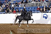 09usn-08917 proof