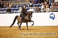 09usn-08919 proof
