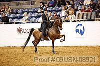 09usn-08921 proof