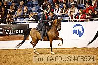 09usn-08924 proof