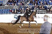 09usn-08925 proof