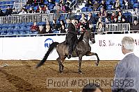 09usn-08928 proof