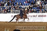 09usn-08930 proof