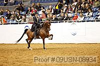 09usn-08934 proof