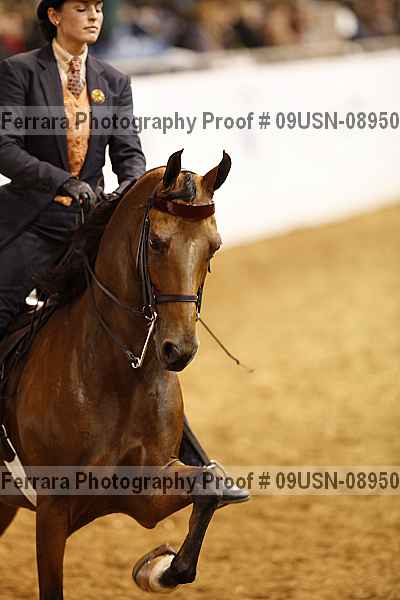 Proof 09usn-08950