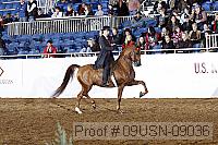 09usn-09036 proof