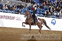 09usn-09037 proof
