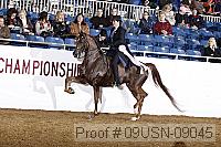 09usn-09045 proof