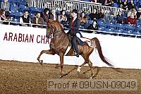 09usn-09049 proof