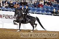 09usn-09054 proof